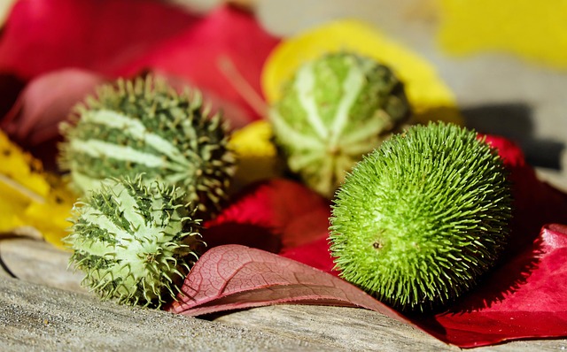 Осознанное потребление: Практические советы для экологичной жизни