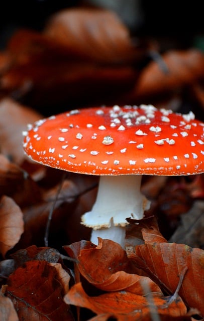 Как избавиться от токсичных отношений и начать жизнь заново